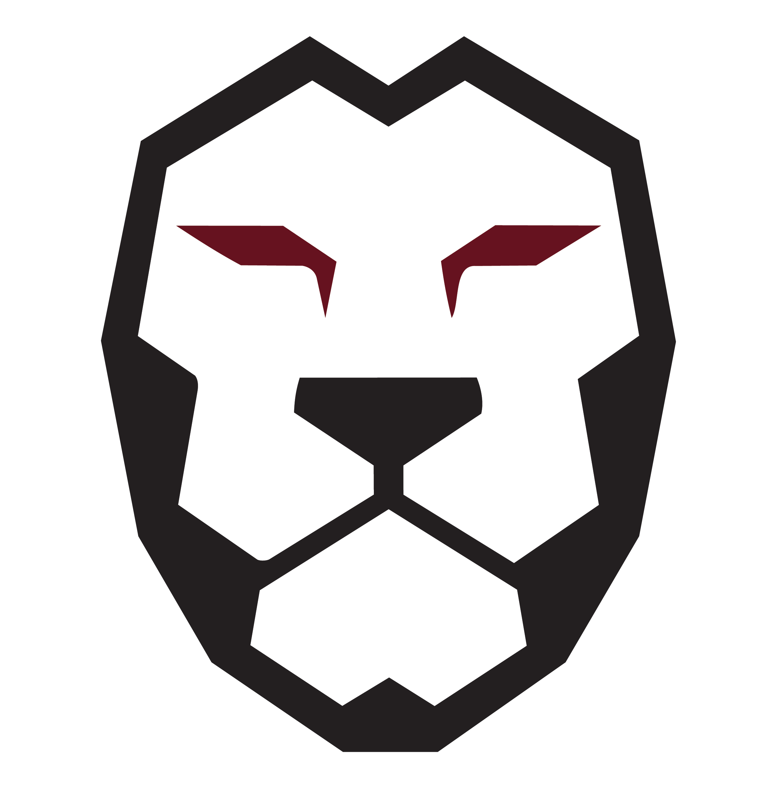 MOMO BJJ lion mark