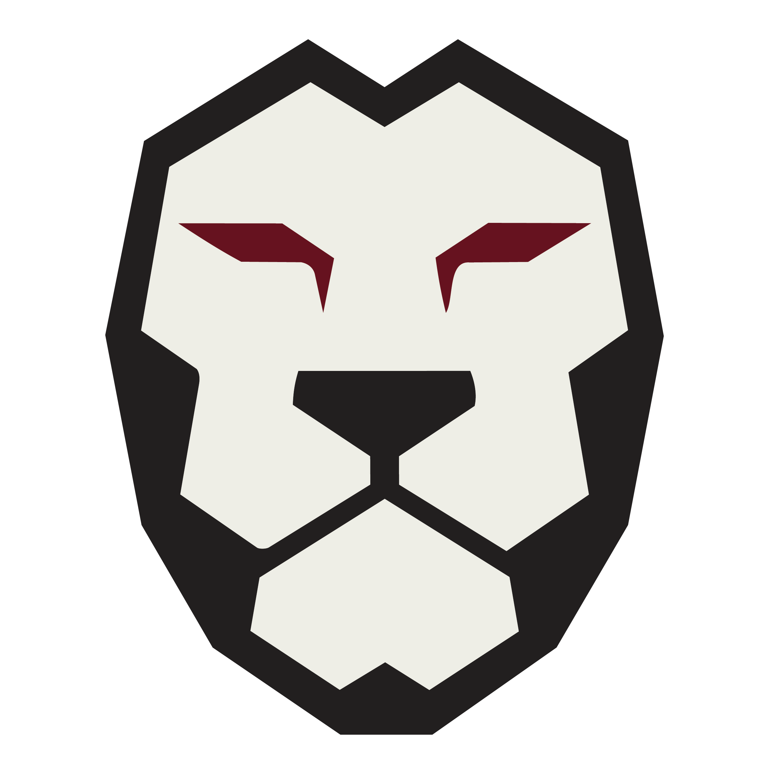MOMO BJJ lion mark